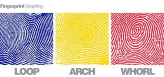 Wondering if you are a whorl, loop, or arch fingerprint? Sign up for Kids on Campus on October 27. wright.edu/precollege
