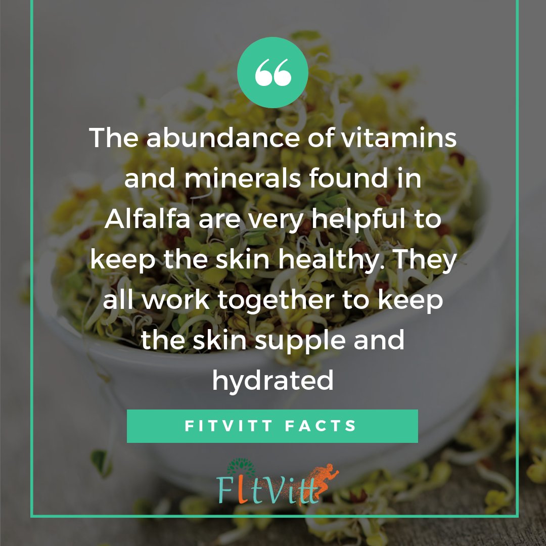 fitvitt_food's tweet image. Alfalfa is gaining popularity as the new superfood because of its nutrient abundance. To know more about alfalfa visit bit.ly/2RBAFfO

#Fitvitt  #Afalfa  #AlfalfaPowder  #AlfalfaBenefits  #AlfalfaSprouts    #SuperfoodSmoothie  #Superfood #SuperfoodIdeas  #superfoods
