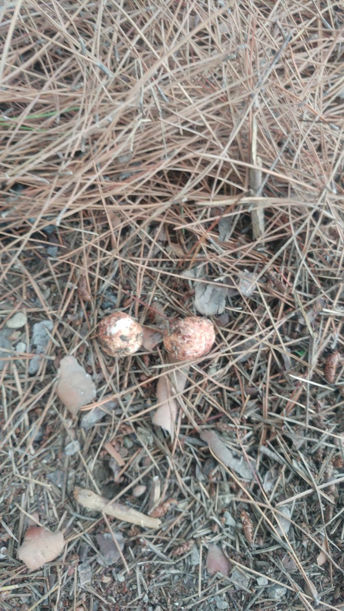 kürşad sef (@kursad0606) on Twitter photo 