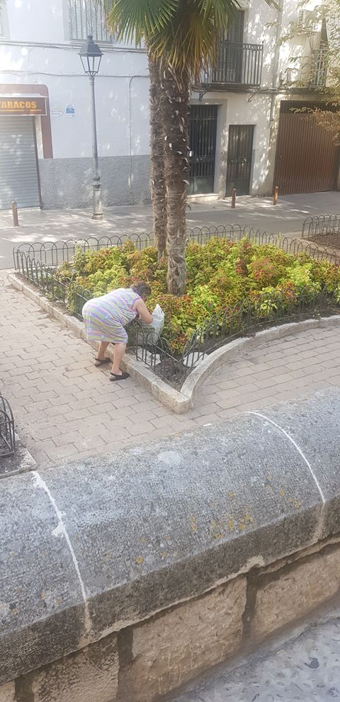"Niño, ya subo, que voy a por macetas nuevas, que las acaban de poner enfrente de los Baños Árabes to nuevecicas"
(Imagen gráfica del incivismo de #Jaén)