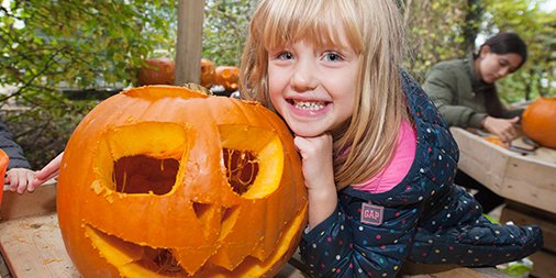 Trick or Treat 🎃 Have you got your ticket for the Mischief &amp; Mayhem that is going to happen at the farm this October half-term? Get your ticket today and SAVE 10% - ow.ly/GCpO30lZLZb