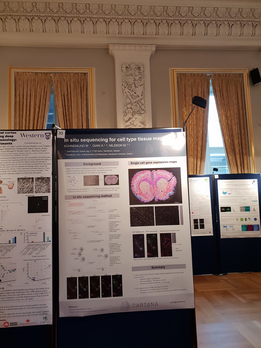 CARTANAbio's tweet photo. Check out @CARTANAbio poster on 'In situ sequencing for cell type tissue mapping' at @FENSorg 'The Necessity of Cell Types for Brain Function' in Copenhagen, Denmark. #FENSorg #Neuroscience https://t.co/HdS3tCpamU