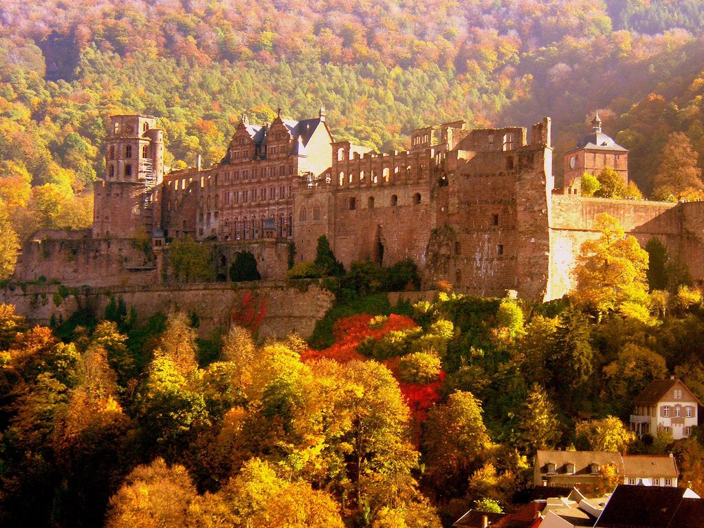 TravelGalSuz's tweet photo. Fall Day Trippin Dream Destinations to Explore
#Bordeaux #France #Winelover
#Foodie #FallEscapes
Autumn ideal season to explore and discover this city and vineyards https://t.co/ba3FruKh2I