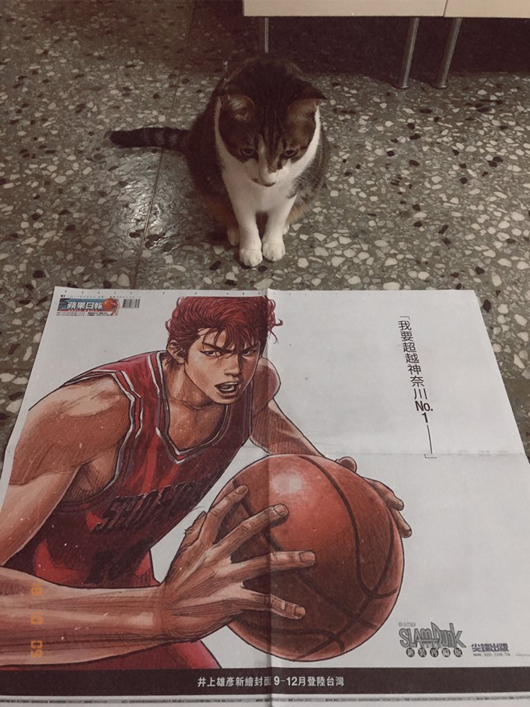 Annie على تويتر 今日台湾新聞appledaily掲載の全段広告 スラムダンクもわたしの青春 すごく感動した T T 蘋果日報 灌籃高手 灌籃高手日 報紙 Slamdunk スラムダンク 新聞 Appledaily わたしの青春 Https T Co 3gutbmycdi
