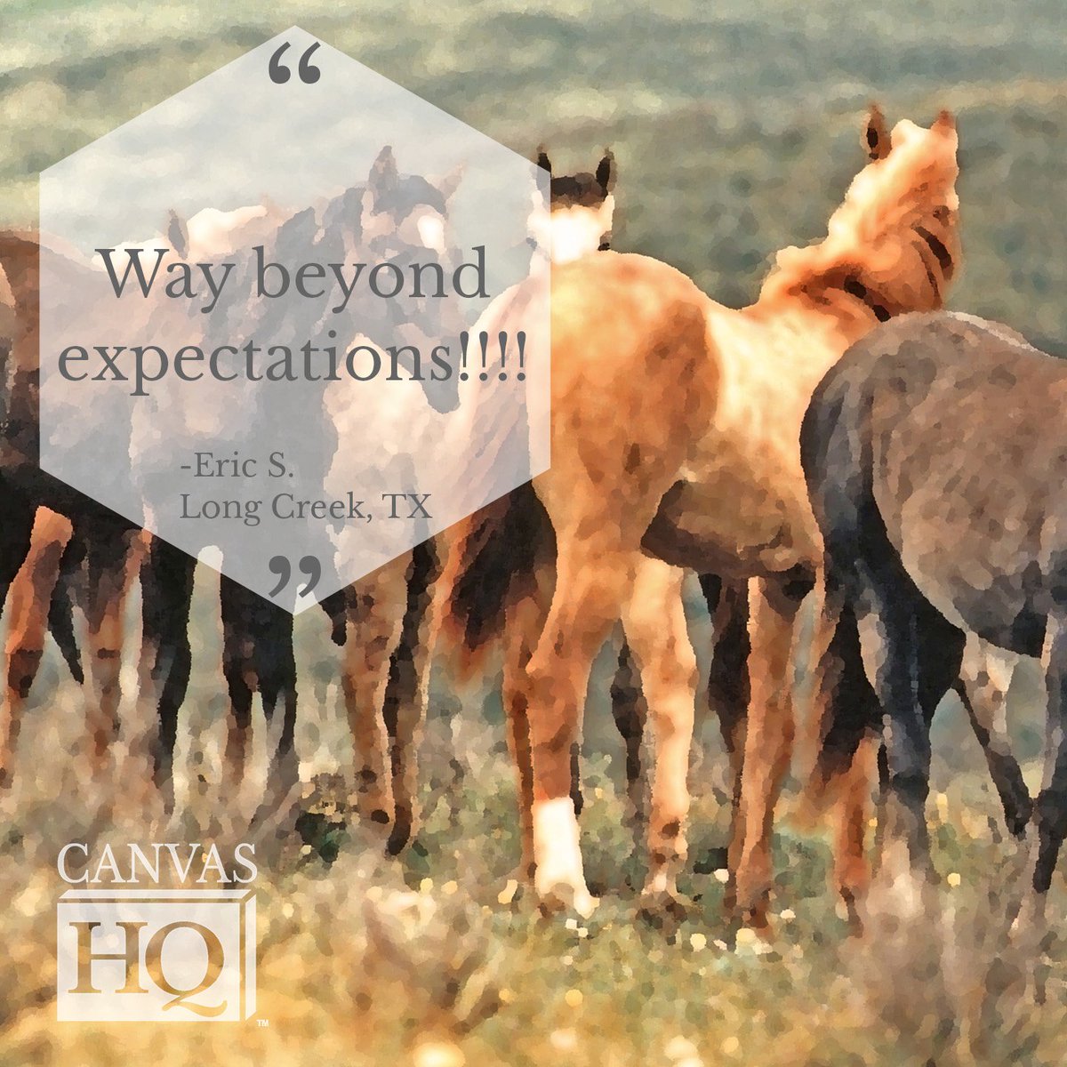CanvasHQ's tweet photo. "Way beyond expectations!!!! I'm a professional photographer with almost 50 years experience, so know what I want and what to expect. Doing research for the best rated canvas makers, CanvasHQ alway has the highest scores. It doesn't get any better!" https://t.co/g8IoiTVMQ6