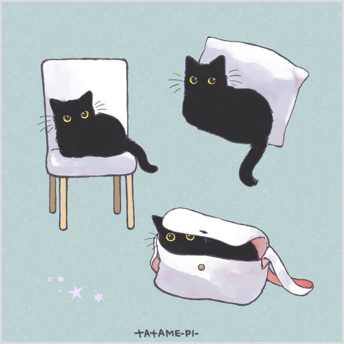 「黒猫 サイン」のTwitter画像/イラスト(古い順)