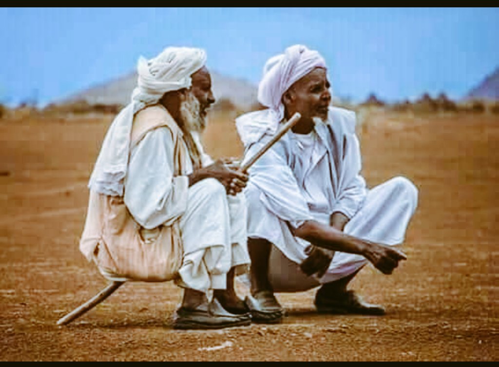 Mohammed Seif tweet media