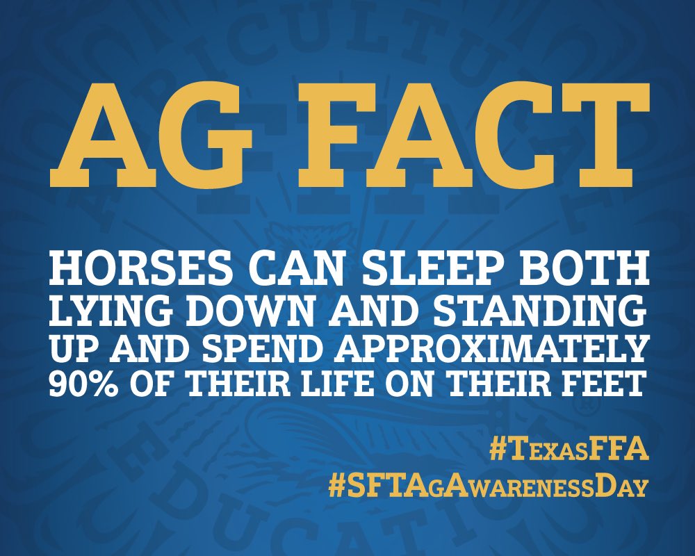 TexasFFA's tweet photo. Today is #AgAwarenessDay at the @statefairoftx and we have a little challenge for you... https://t.co/XHx0WDFnaR