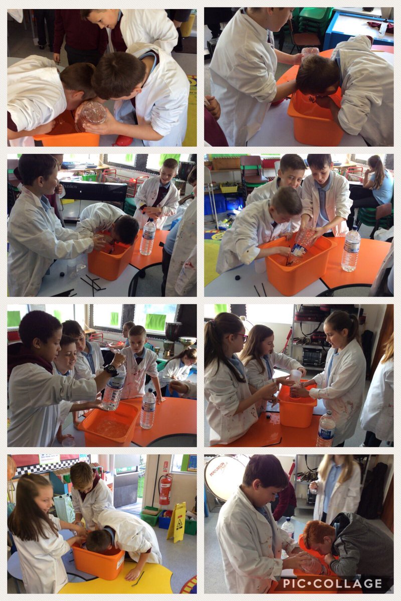 Plasyfelin's tweet photo. Year 6 have been busy testing and investigating their lung capacity #plapscience #plapc13 https://t.co/JaJltDaEVM
