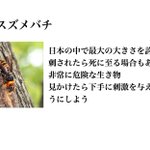 最後の笑っちゃった!身近に潜む危険な毒を持つ生物？？!