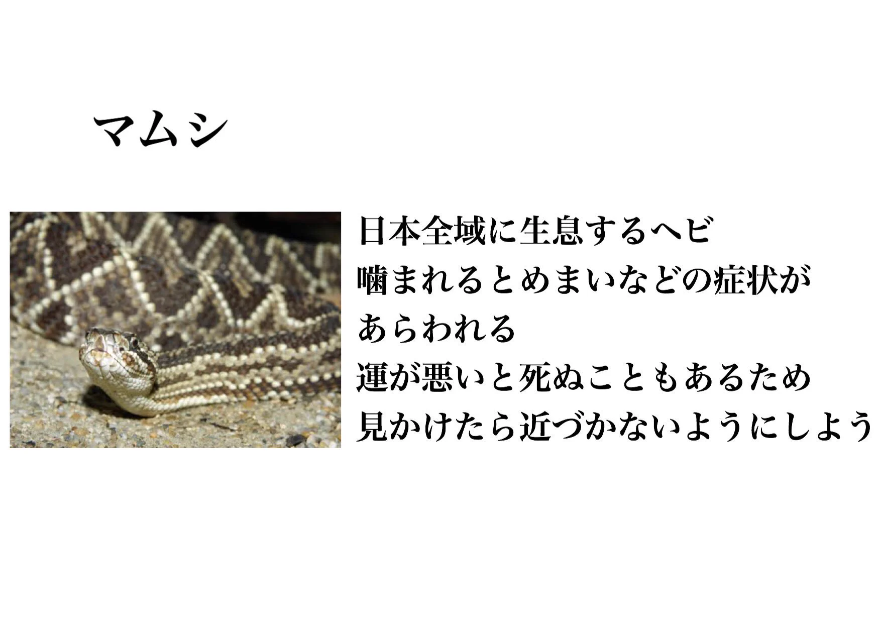 最後の笑っちゃったｗｗｗ身近に潜む危険な毒を持つ生物？？！