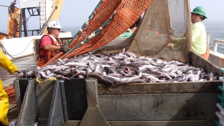 Trawling scientific literature for gene-disease information. thetgmi.org/genetics/trawl…