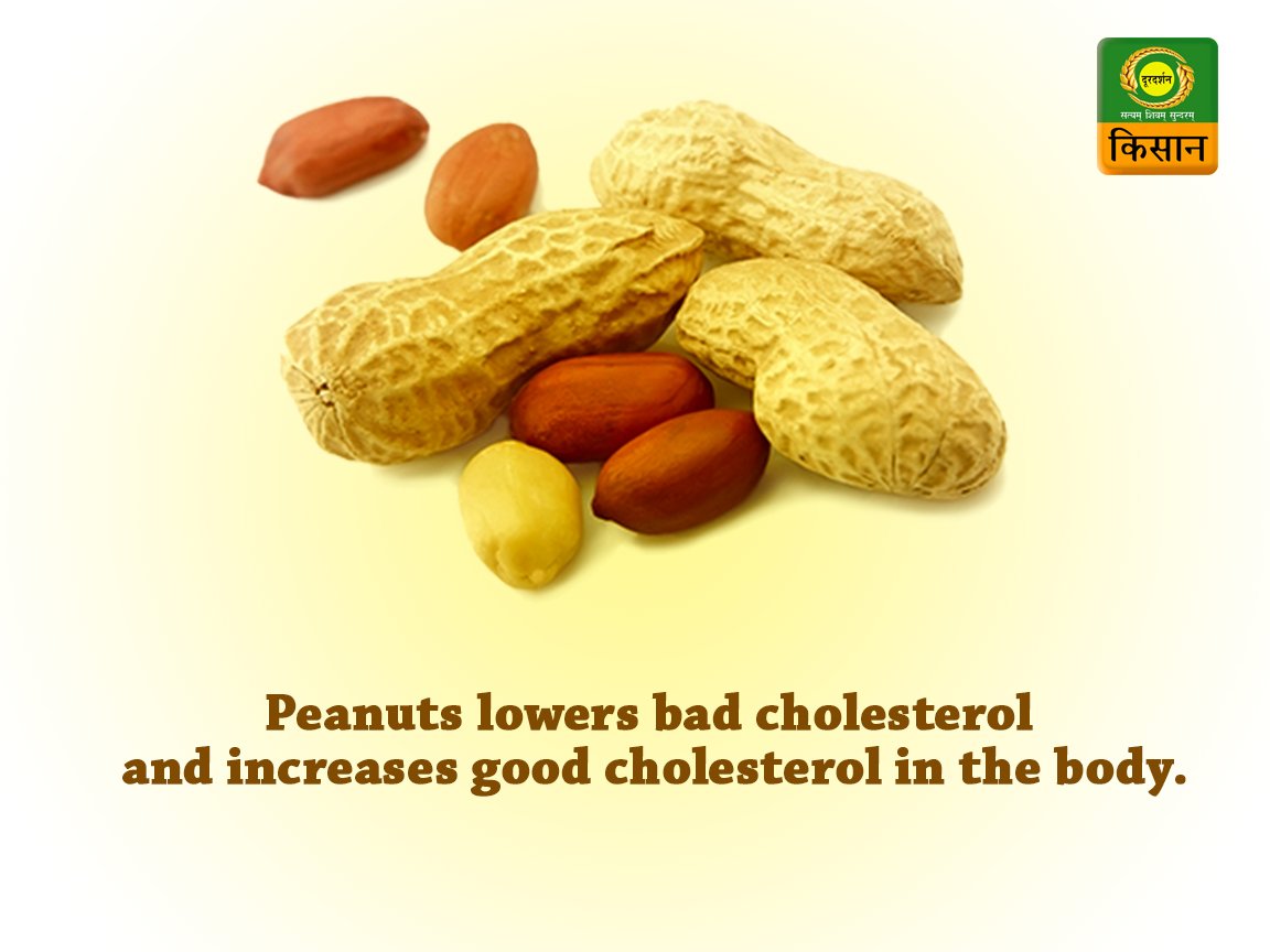 DDKisanChannel's tweet photo. #BenefitsOfPeanut https://t.co/GnRa84hX9E
