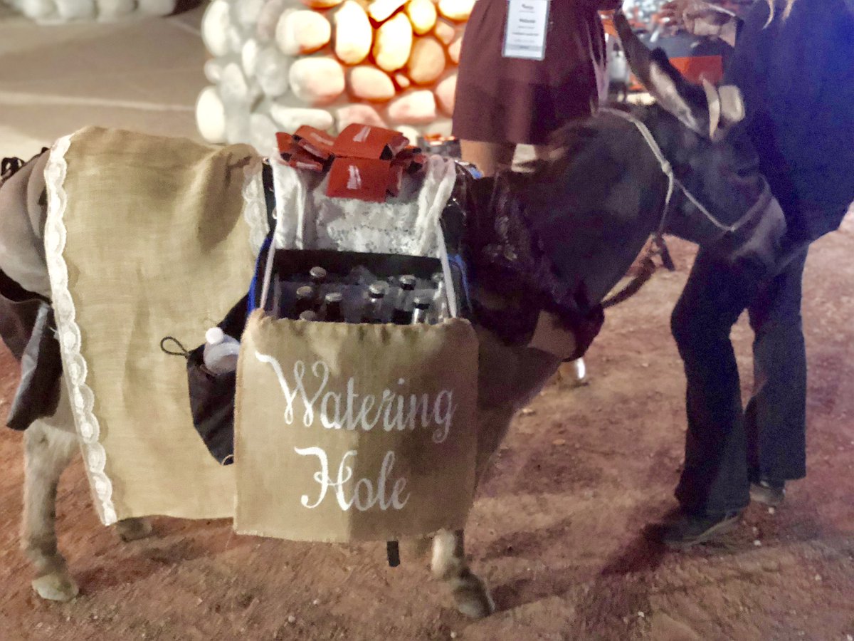 dcunning1124's tweet image. Just a couple of wise ass’s. #netplusalliance