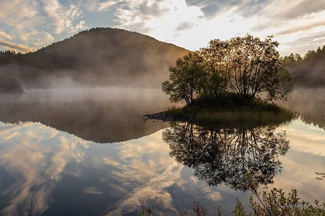 Peaceful morning ⭐
Beautiful misty lake Aksa in Hyllestad, western Norway.

Photo: Atle Nordal Inderøy
#hyllestad #fjordkysten #fjordcoast #norway @fjordnorway #utpåtur #sognogfjordaneibilde #autumn #travelstoke