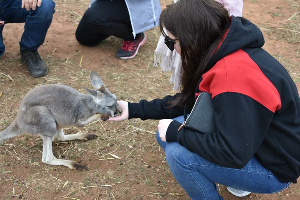 FlindersEdge's tweet photo. Never ceases to amaze me, the affinity my kids have with animals. Even the missus got in on it today! https://t.co/ypRwzn2hyz