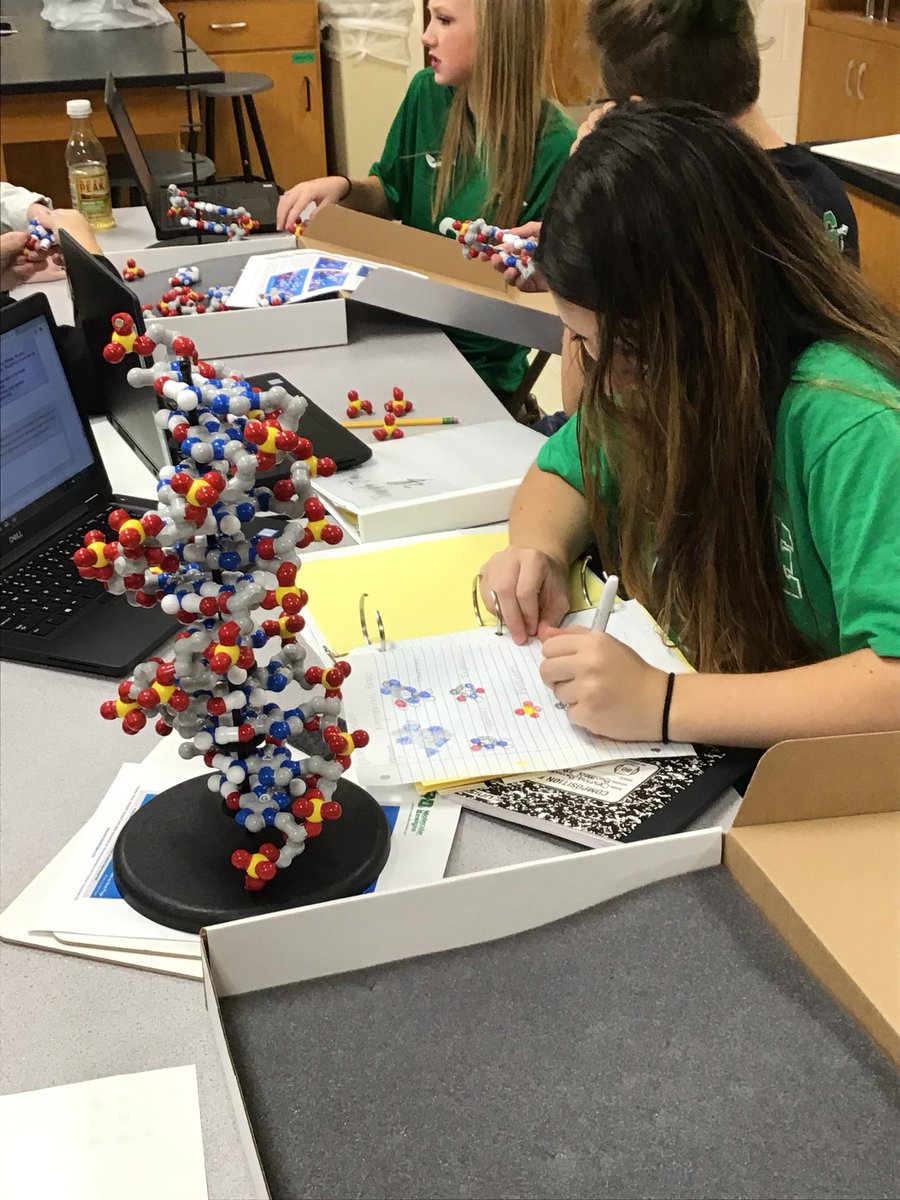 hesterscience's tweet image. PLTW students building DNA models with nothing but the knowledge Watson and Crick had in 1953 regarding DNA molecular structure! #ssdpride #WarriorSTRONG @warriorsci1