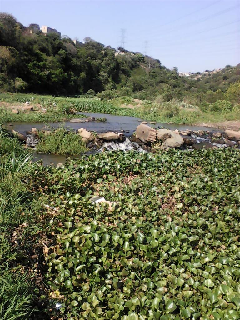 WWWCza tweet picture