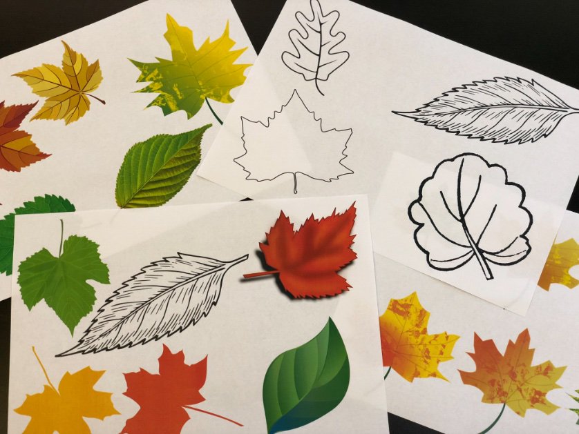 rethinkOwAmYa's tweet photo. The Walsall Team are busy preparing for tomorrow’s World Mental Health Day ‘drop in’ sessions #WMHD18 #wellbeingtree #WorldMentalHealthDay #Walsall #AskTwice https://t.co/c8EbvgHz2M