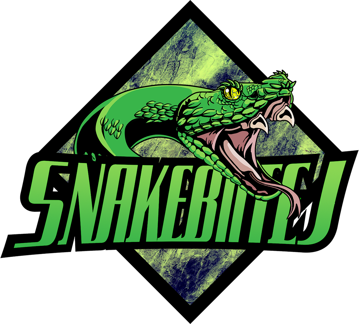 SnakeBiiteJ's tweet photo. Hey guys! Snake is live and ready to cause some mischief. It's also my birthday today so lets get as much hype as we can in here! Will be having some special guests throughout the #Fortnite stream so don't miss out! https://t.co/s3hQfJm86x

@J4LOrg 
#SupportSmallStreams https://t.co/ybeD797Zzn