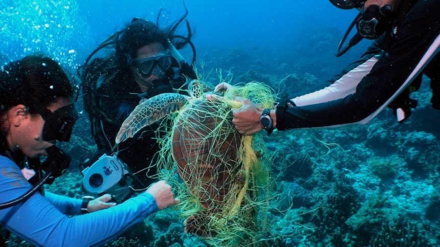 NoMicroplastic's tweet photo. Since 1950, an incredible 8.3 billion tons of plastic have been produced.  This corresponds to the weight of 822,000 Eiffel Towers made of bare steel. 
#noplastic #savetheocean #plasticurgery #plasticpollutes #plasticocean  #plasticfree  
Picture: https://t.co/UeOHoEqV8k https://t.co/iKEa2pjboS