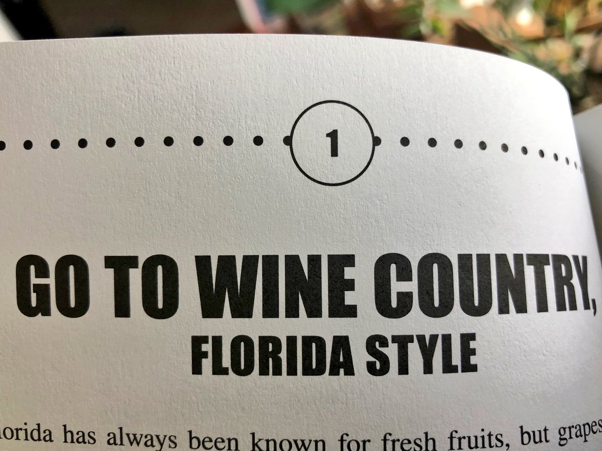 Now that the “100 Things to do in Orlando Before You Die” is officially out, here’s a sneak peek. Buy a copy here: jonbusdekervideo.com/book