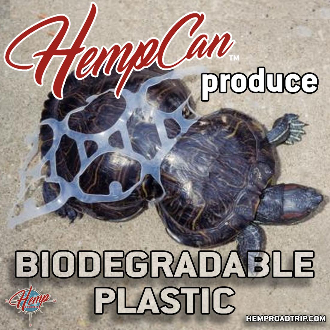HempRoadTrip's tweet image. Hundreds of thousands of sea turtles, whales, and other marine mammals, and more than 1 million seabirds die each year from ocean pollution and ingestion or entanglement in marine debris. #HempCan replace much of that with renewable, biodegradable plastic grown from the soil!