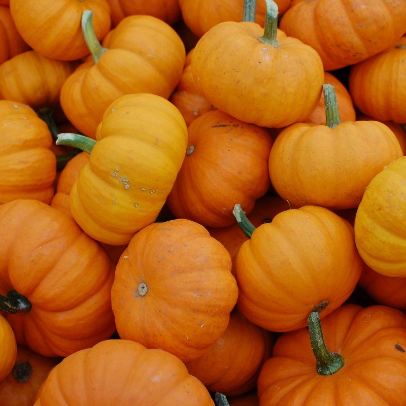 My Top 3 Wines for October threadsandvino.net/2018/10/09/my-…