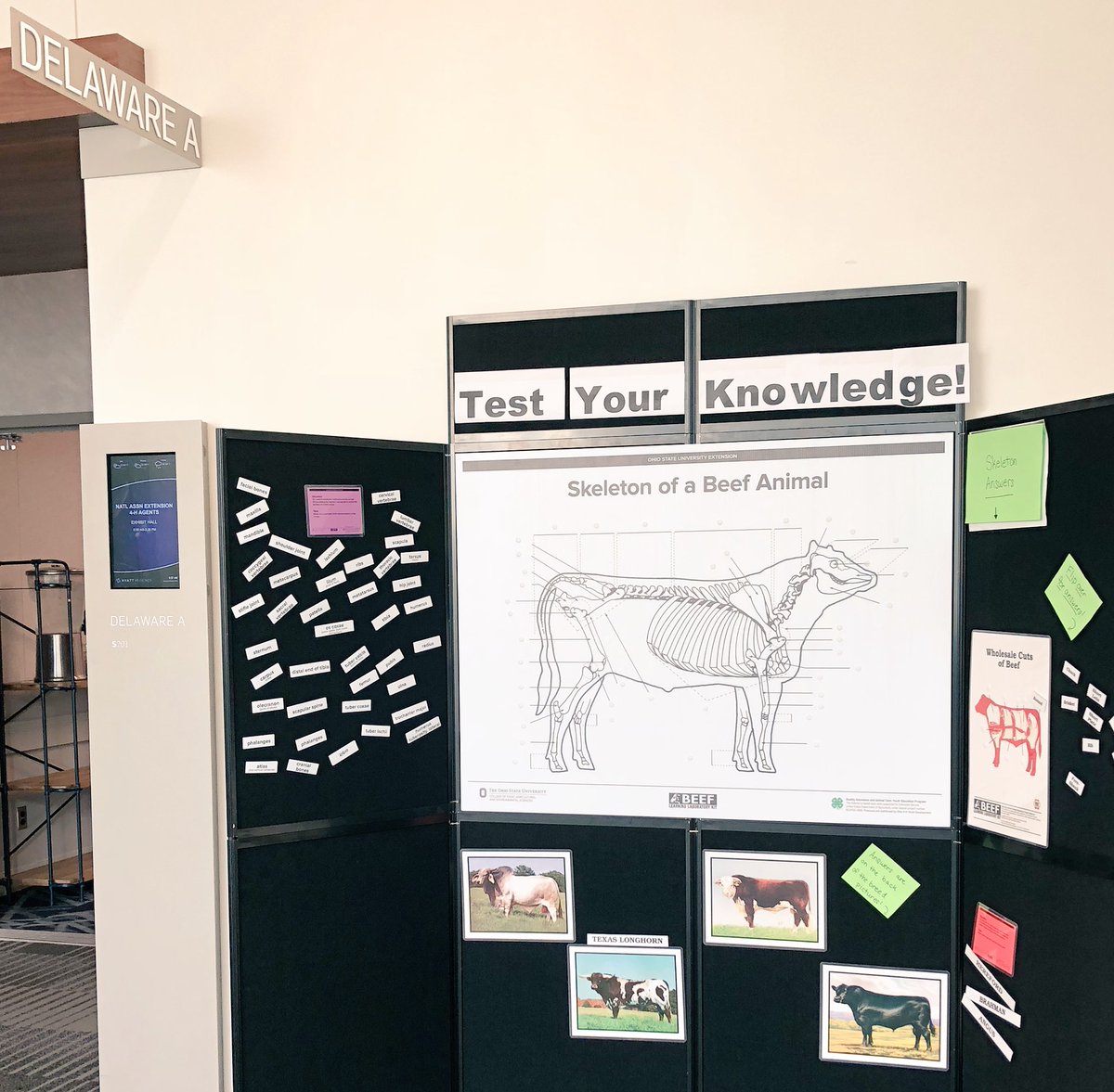 learninglabkits's tweet image. “Test Your Knowledge” outside of the exhibit hall today! #4H #Ohio4H #nae4ha2018 @NAE4HA