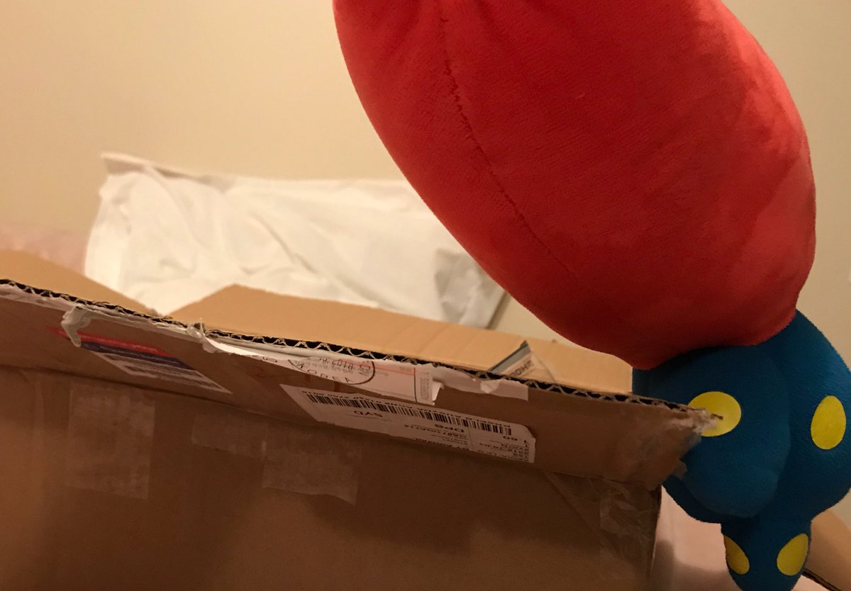 TATAdventures's tweet photo. WHOMST https://t.co/64ppTcDLcz
