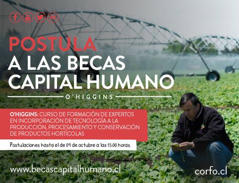 Piensa_OHiggins's tweet photo. Buenas noticias! se extendió el plazo del Curso Formación de Expertos en Incorporación de Tecnología a la Producción, Procesamiento y Conservación de Productos Hortícolas hasta el 9 de Octubre, Becas Capital Humano #CorfoenMovimiento https://t.co/oEYLeThDKj