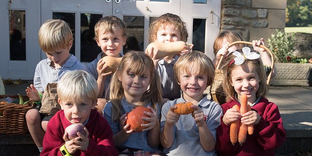 AHPrepEYFS's tweet photo. Reception class with some of the Harvest Festival donations received. Many thanks to all of our parents for your kind donations. The produce is heading to @CommunityFridge and RAISE Refugee Action in Frome. #AHPrepEYFS https://t.co/3T9Rvbmu2X