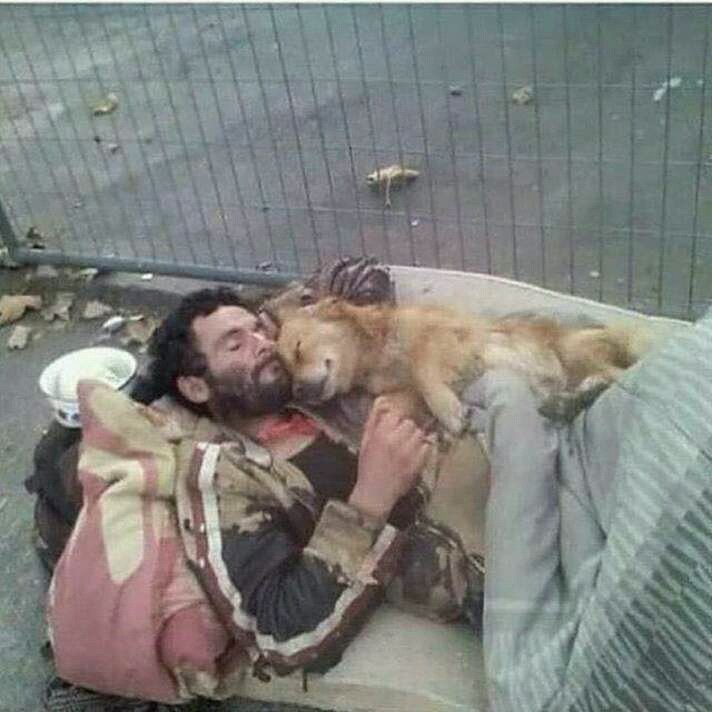 LisaGDiaz1's tweet photo. Dogs don't care if you are rich or poor. they love you anyway... https://t.co/rVLViM9XR6