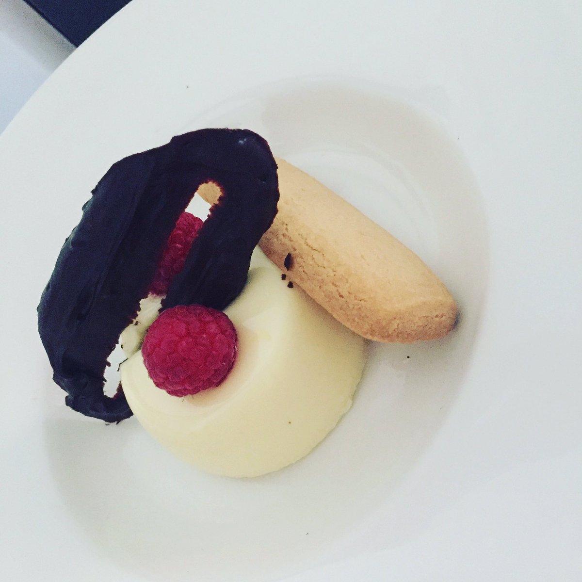 Fresh new dessert, Lemon Panna Cotta!