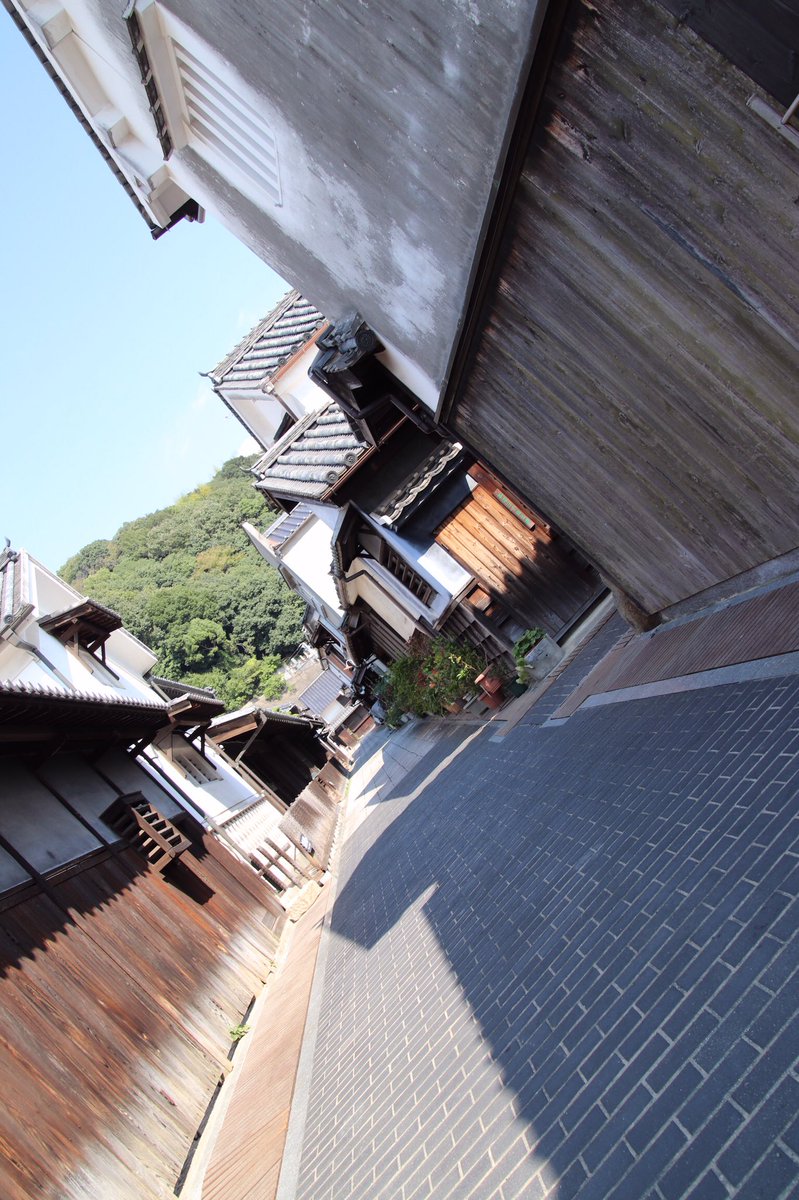 sistar4minute's tweet photo. 宮島、大久野島、竹原、尾道となかなかハードな旅行やったけどカメラの練習にもなったし、楽しかった😁 https://t.co/TRwWrtKWt5