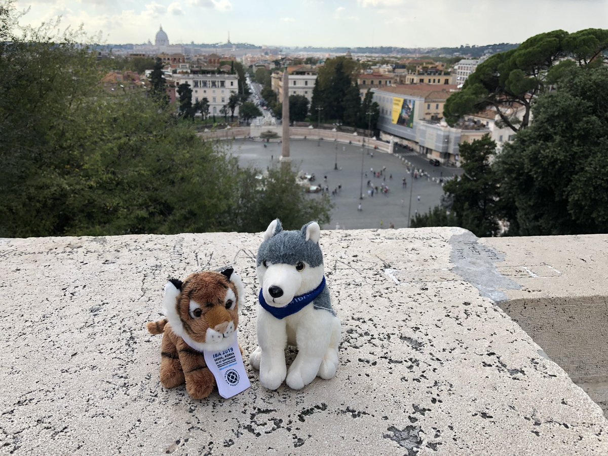 J_R_MUC's tweet photo. #LittleRomeo found a new girlfriend and is doing some sightseeing... whilst defending himself against aggressive street vendors teyibg to force a him to buy a 🌹. #ibaRome @IBAevents https://t.co/hN439L8ONf