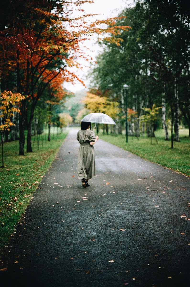 Sachi 秋の雨 縦写真多めです Filmphoto T Co D9egnxmexy Twitter