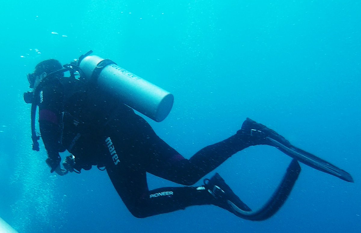 vicseovi's tweet photo. #Marrojo #redsea #scuba #scubadiving #scubapro #scubadive #divers #dive #diving #liveboard #pezcofre #mares #aqualung #ssi #padi #thistlegorm #pecio #scubacenter #buceo #inmersion #Egipto #egipt https://t.co/fc0pjstSHR