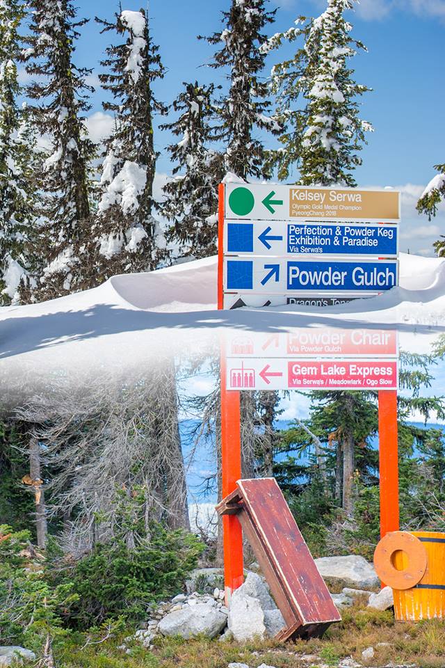 Snow Rehab tweet media