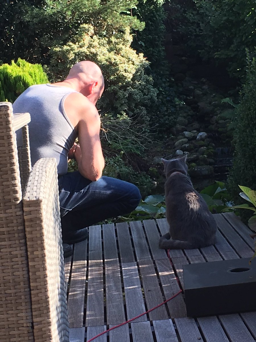 LisaaRo's tweet photo. 😍 liefde voor deze twee! #kat #lieverds https://t.co/MfffN4WoYq