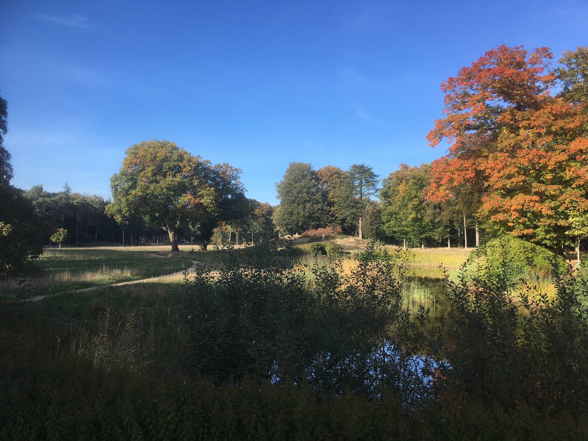 TuinbaasMaarten's tweet photo. Wat zijn de landschaps parken toch mooi in de #indiansummer #Walien @Natuurmonument https://t.co/zy0uBw3V2Y