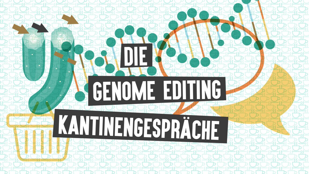 Dialog_GEA's tweet photo. Über ein Jahr hinweg haben wir Interviews mit Menschen geführt, die sich mit #GenomeEditing beschäftigen. In den nächsten 2 Monaten veröffentlichen wir wöchentlich eines. Hier die ersten zwei Kantinengespräche auf #DialogGEA: https://t.co/wbAx0Z2whq https://t.co/NBW6cQc2bD