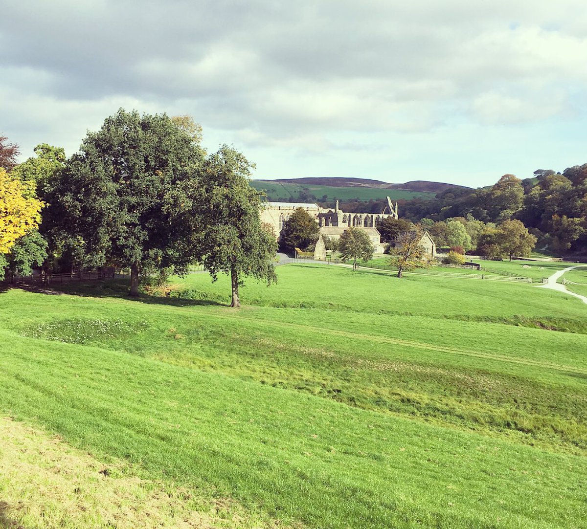 On location today with @PhotoKathryn  at the stunning Bolton Abbey Estate. Feels like Summer is back again 🖤