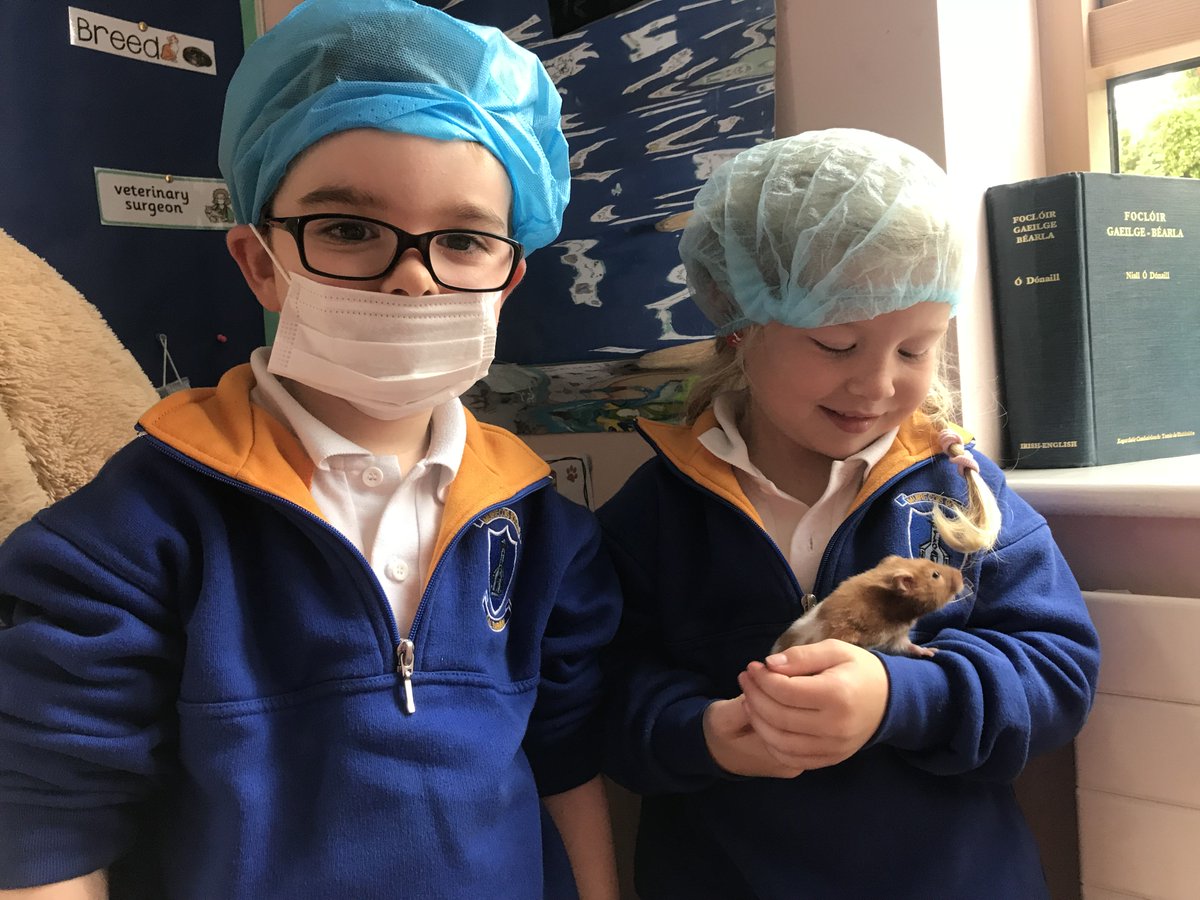 OLOWKilternan's tweet photo. Ms Callender's Senior Infants are very busy helping all the sick animals in their clinic😷🐶🐰🐱 https://t.co/6c3xx0xeHB