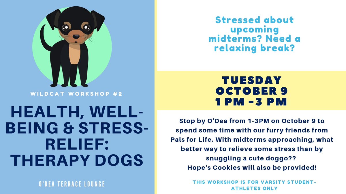 Nova_AthOAS's tweet photo. #WildcatWorkshop TODAY from 1-3 PM: Therapy Dogs and Hope's Cookies in O'Dea! What better combination is there than pups and cookies?! #stressrelief #smartycats ๐ถ๐ช https://t.co/7eFgtlKLaX