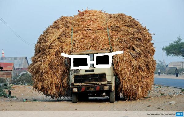 MICHEL POLNAREF PART EN TOURNÉE .....
