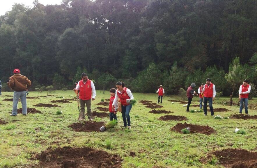 nq_radio's tweet photo. Activan programa de reforestación en Santiago Tulantepec #SantiagoTulantepec 
https://t.co/ZQqZph8vwc https://t.co/Jqw8dJzX5A
