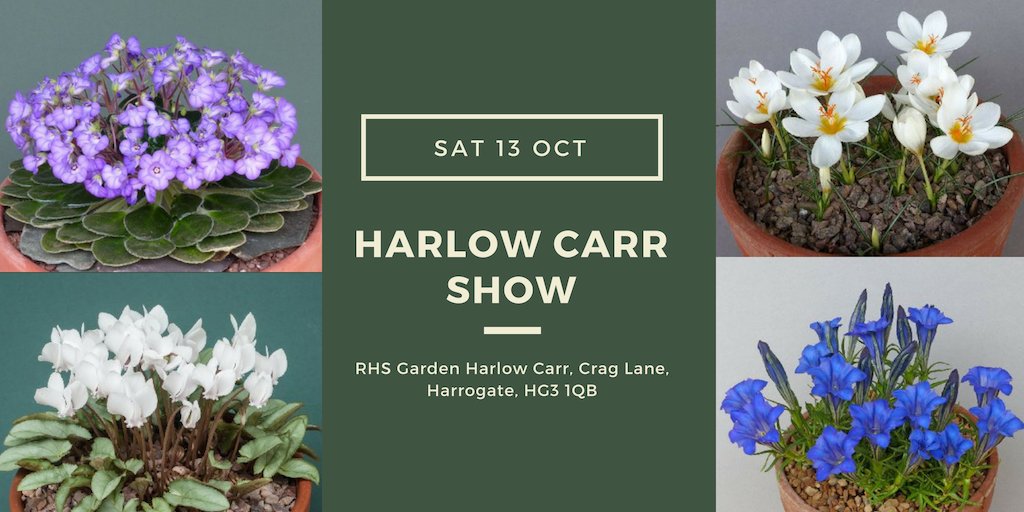 Our final plant show of the year is this Saturday! Join us at @RHSHarlowCarr to see some fantastic plants, shop the plant fair & of course, enjoy some tea & cake. Nurseries: Aberconwy, Pottertons, Edrom, Harperley Hall, Hartside, Nigel Sandham Troughs. bitly.com/harlow-carr