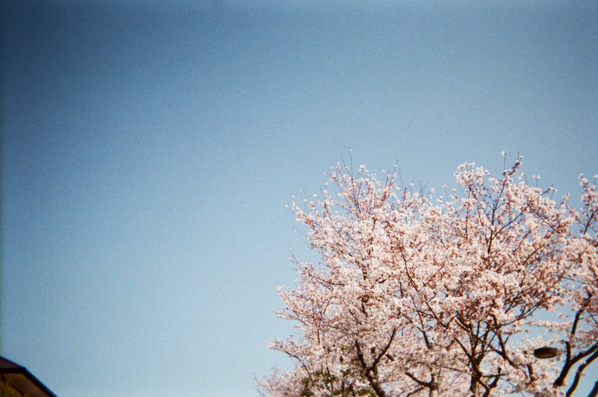 h_s312's tweet photo. あまり載せなくなってしまったけど、相変わらず撮っています
最近はフィルムが多い https://t.co/2QU7DT56yq