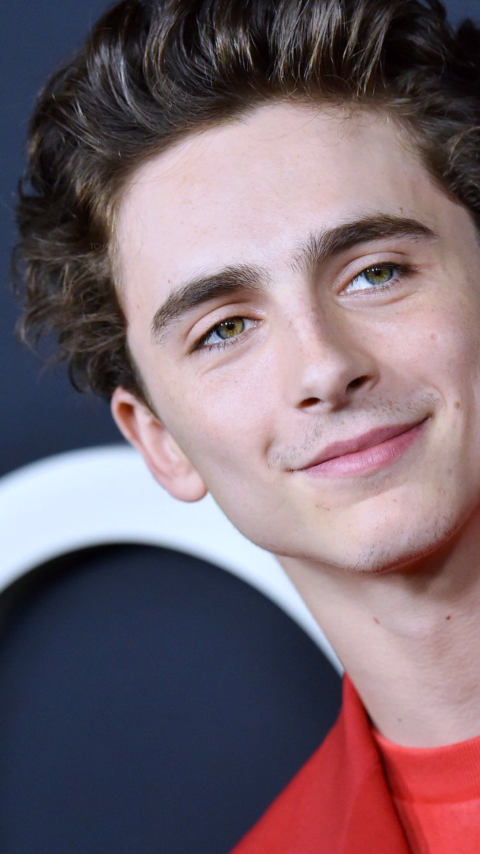 ig: tchalametcn 🍵 Fanpage for Timothée Chalamet on Twitter: 